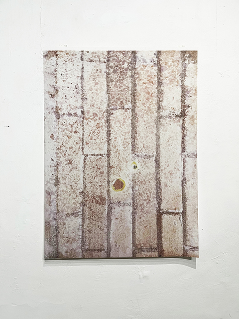 Picosecond Unveiled_2025